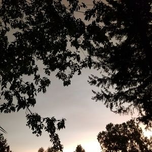 Meet your Posher, Haijing